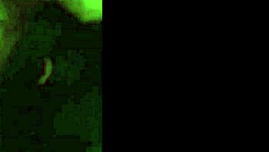 Young Girl Joins Group Activity Involving Couples