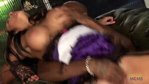 romana ryder licks black cock then rides in cowgirl