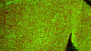 shemale in heels getting punished mmm