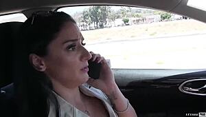 Sheena Ryder gets fucked hard!