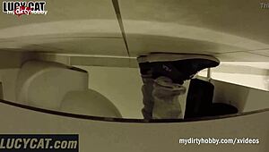 Lucy Cat's Intense Dirty Summer Adventures