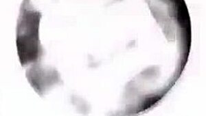 Alexa stacis shows off her magnificent tgirl body 😍