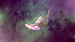 bet with neighbor about my ass, he lost, cumshot