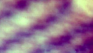 Watch my wife squirt and cum all over?