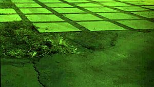 Man, this big tit slave is just wild to fuck!