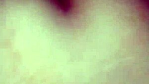 The Naughty Fox Of The Villa