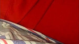 The Naughty Fox Of The Villa