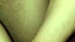 The Naughty Fox Of The Villa