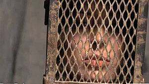 Bound floozy gets rough femdom fucking and clit play.