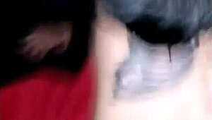 mexican threesome ends with simultaneous orgasms in double anal penetration