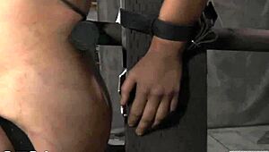 Thraldom Porn Movie Collection