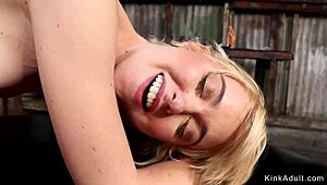 i teach my lesbian students with anal toys and fisting