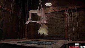 Petite BDSM submissive hung and lashed before being penetrated by the master