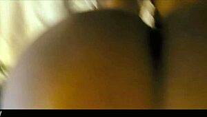 Zabibahadi hatalmas fekete segge közelről kapja a baszást