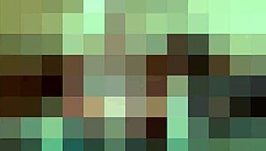 Satisfy your fetish for foot worship and indulgence with a size 6 foot mistress