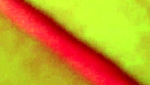 Wife Plays With Dildo And Fists In Homemade Scene