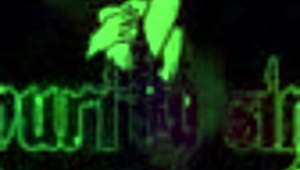 I’m Obsessed with Star Wars Cosplay Bangs! Hot Alien Girls Rock!