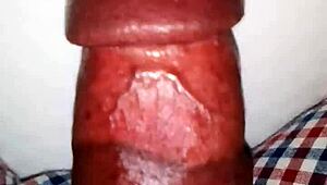 huge cock flashing got me wild, can't believe the size of this monster in my hands tonight