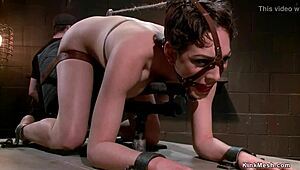 This slave is getting vibrated on a sybian device in bondage, it's so kinky and painful! 😈🔥