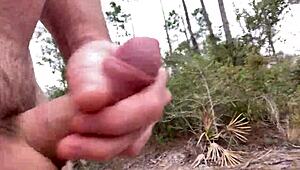 A plane circles overhead during a quiet outdoor gathering