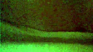 Webcam Ladyboy Teases Cock in Professional Show