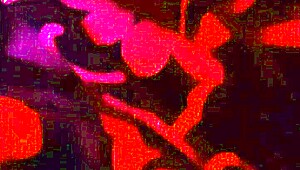 We went on a trip and ended up fucking?