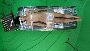 watch dayanara dexter in pov bdsm action?