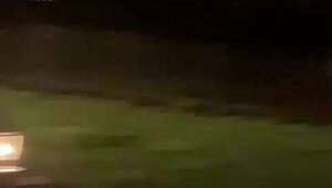 horny workout coach gets head and fucked in royalvidsxxx part 1