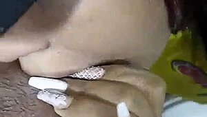 Wife At Work, Neighbor Visits The House In The United States