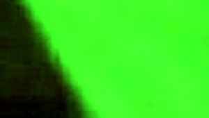 this girl gives the best head on xvideos, sucking that big cock like a pro