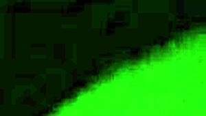 this girl gives the best head on xvideos, sucking that big cock like a pro