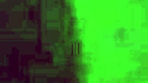 Ebony Girl Gives Sloppy Head Like Never Before!