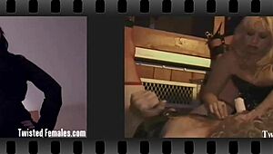 Obey my commands or get harsh discipline