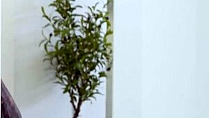 Stepsis challenges bust in two minutes