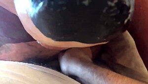 Piñata with diaper for intriguing fun