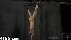 couple explores rough femdom delights with spanking and sucking