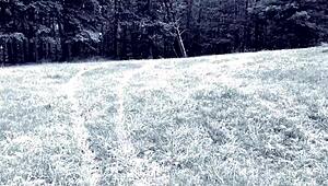 after that hot motorcycle ride, nina rivera gets on her knees and sucks don whoe's dick outside