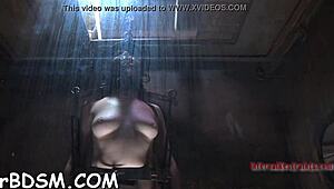 zealous dildo slave action for brunette playgirl in bdsm