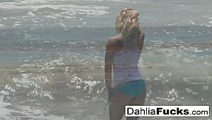 check out dahlia sky's solo fun compilation