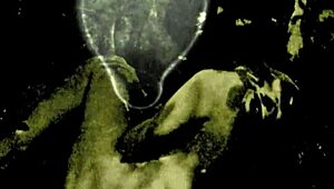 Nineteen 18+th Century Vintage Pornography From British European Antique Collection