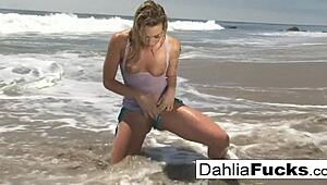 check out dahlia sky's solo fun compilation