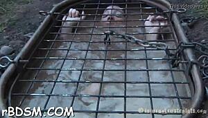 Aroused Brunette Fingers Tight Snatch While Teasing Naughty Fetish