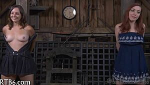 Four gals inside tiny cage.