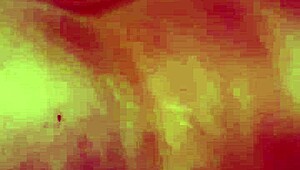 my cheating wife gets fucked by her ex in every hole with a big facial