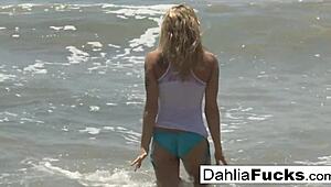 watch dahlia sky masturbate wildly!