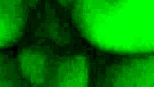 Wrong Hole Anal Fuck, She Loved It!