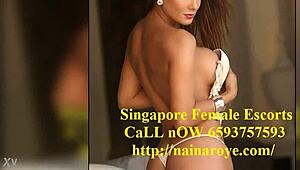 Curious About Escort Services in Singapore With Cute Girls?