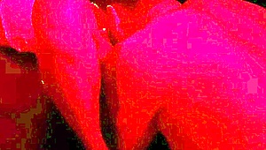 Small-waisted amateur enjoys swing sex and buttplug