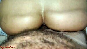 Stella Smeets takes monster cock anal?