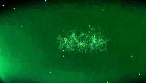 Amateur queen dominates blowjobs with intense oral skills and facial finishes